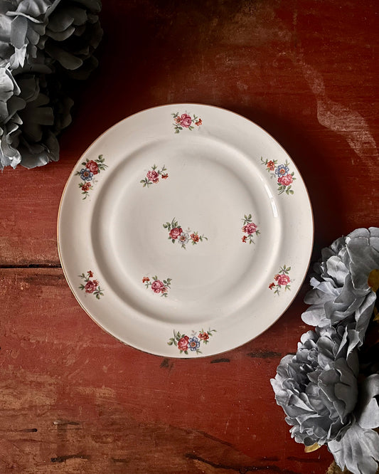 10 assiettes plates M&S