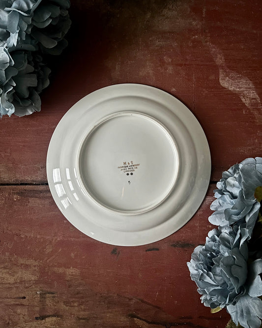 10 assiettes semi-creuses M&S