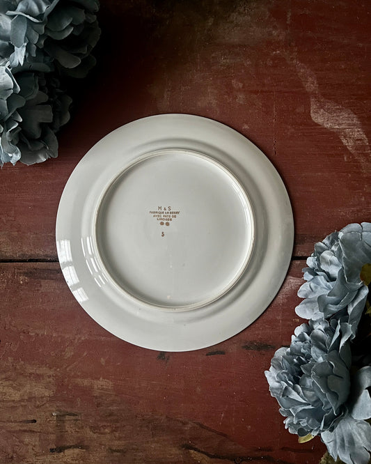 10 assiettes plates M&S