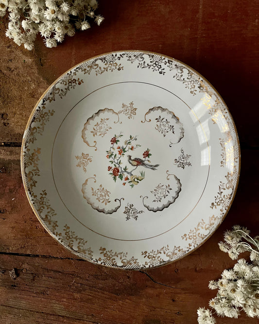 11 assiettes creuses en porcelaine