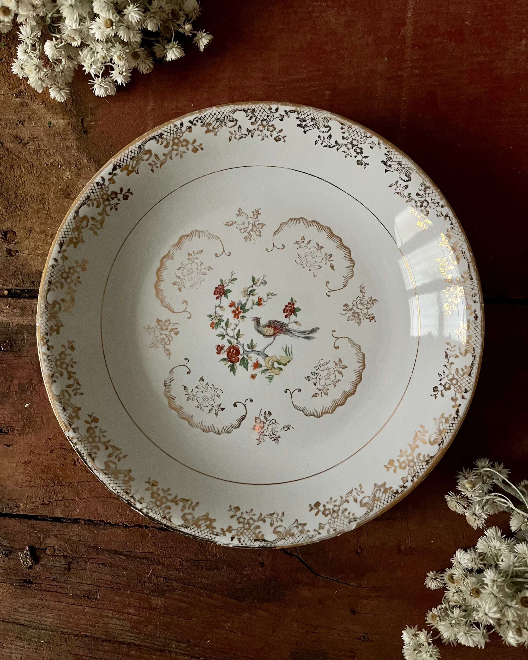 11 assiettes creuses en porcelaine