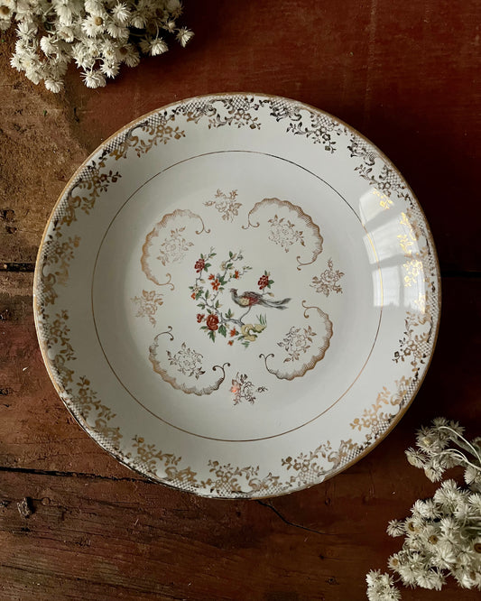 11 assiettes creuses en porcelaine