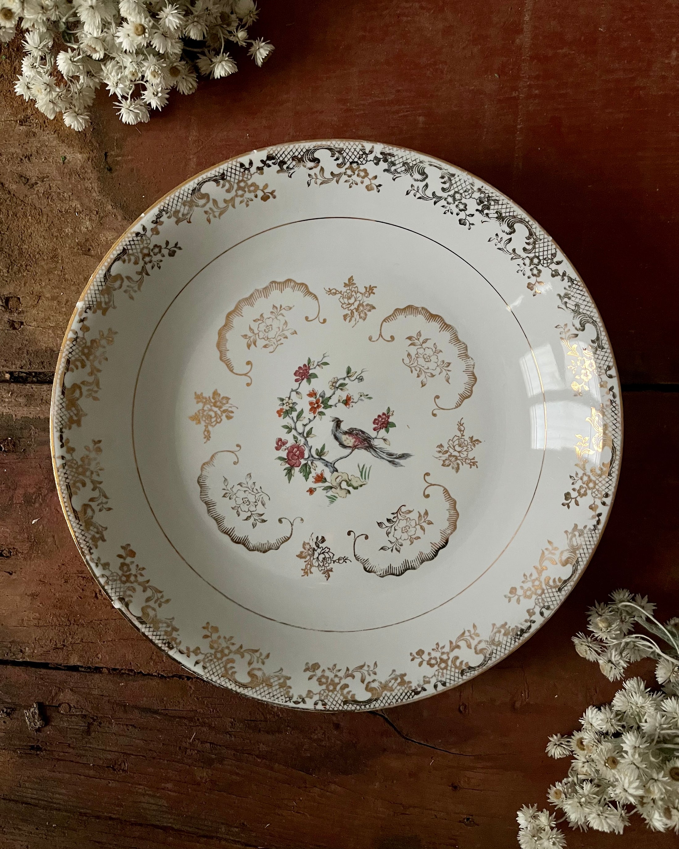 11 assiettes creuses en porcelaine