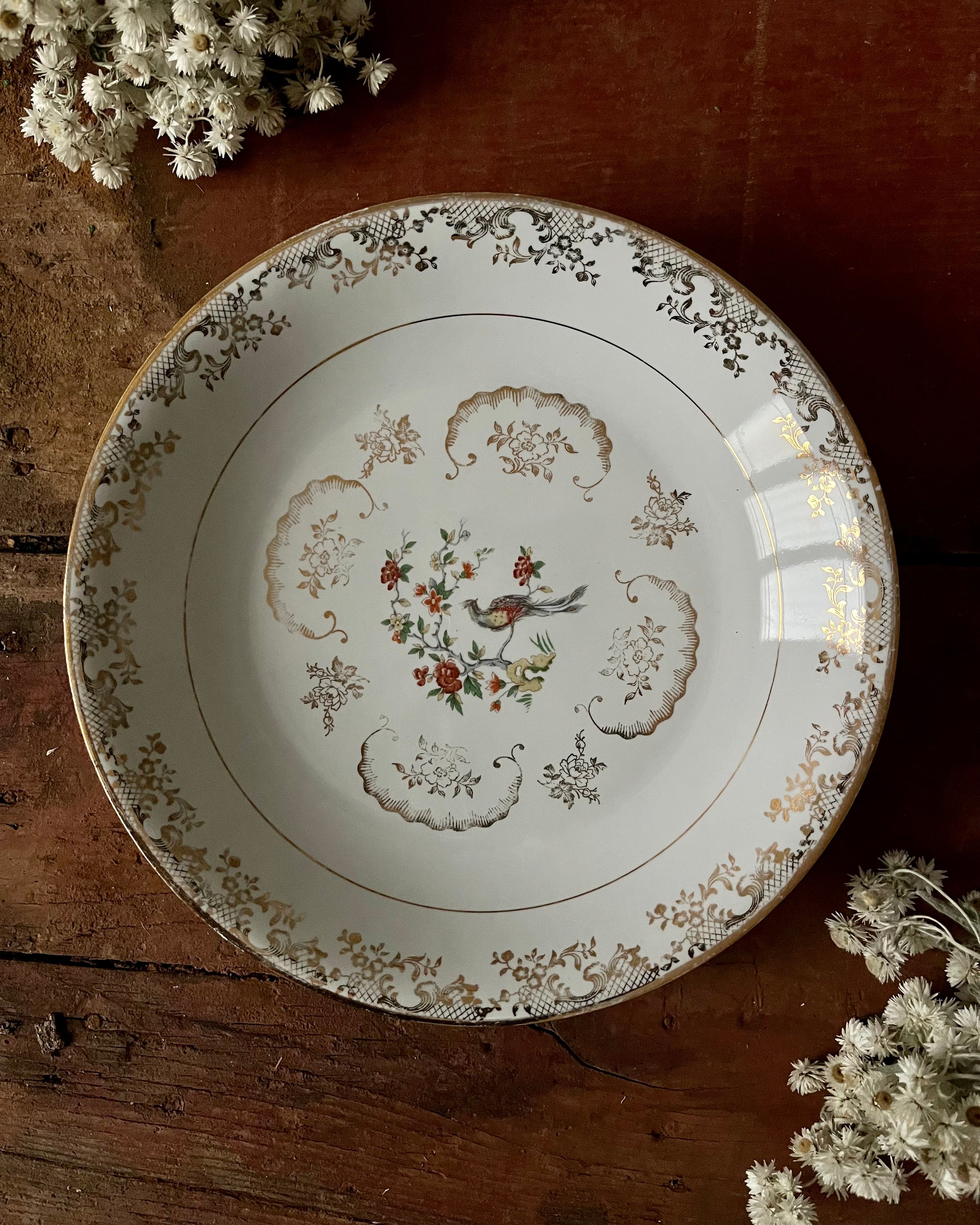 11 assiettes creuses en porcelaine