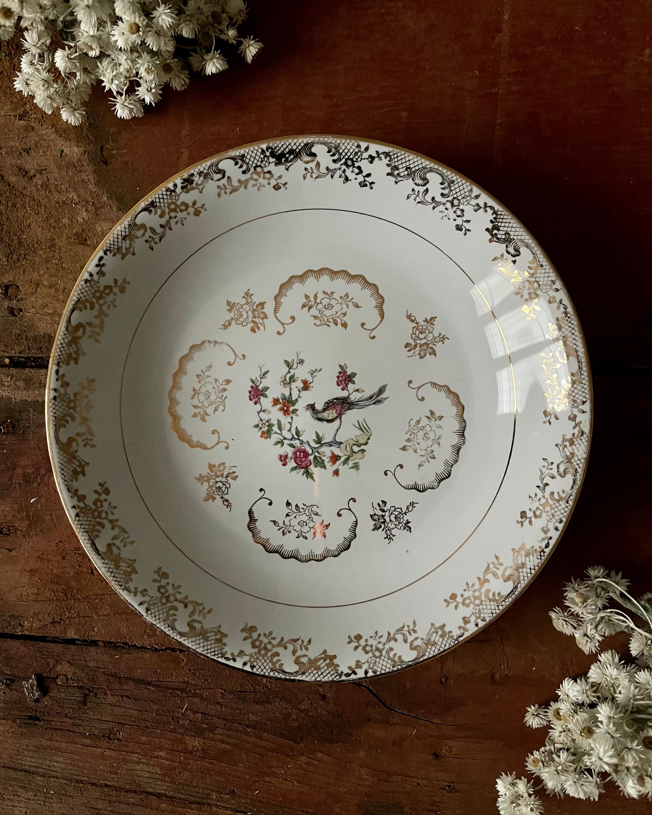 11 assiettes creuses en porcelaine