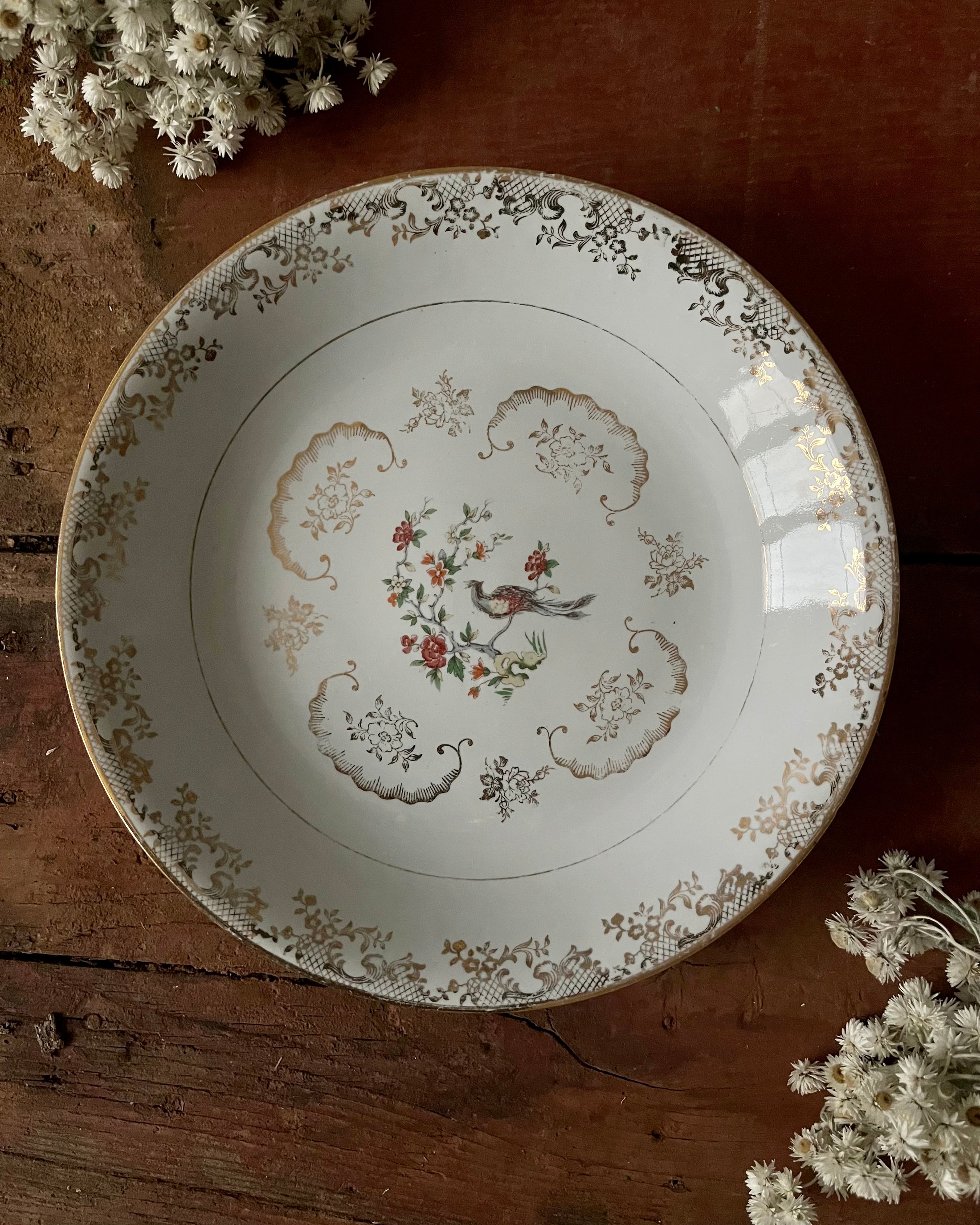 11 assiettes creuses en porcelaine