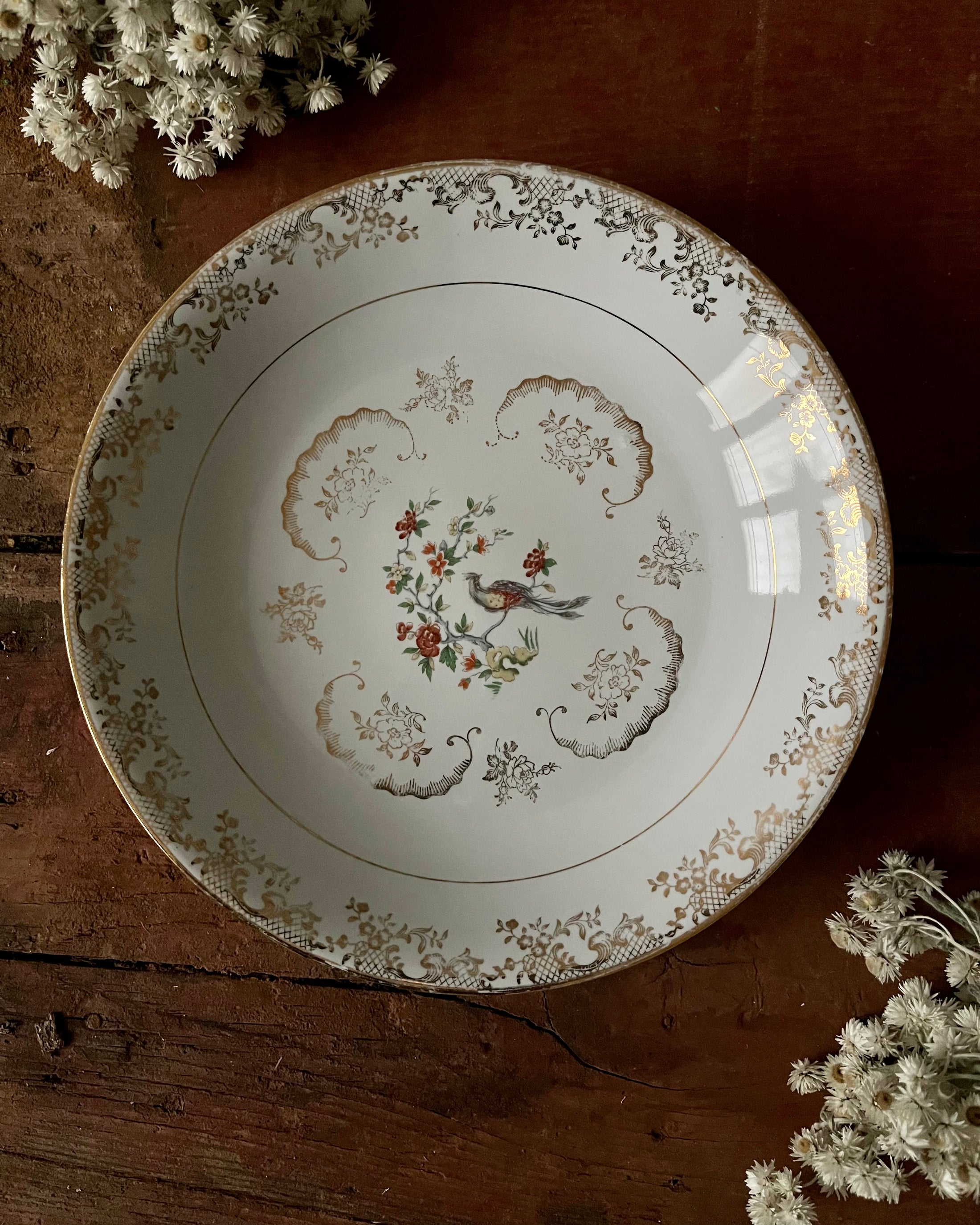 11 assiettes creuses en porcelaine