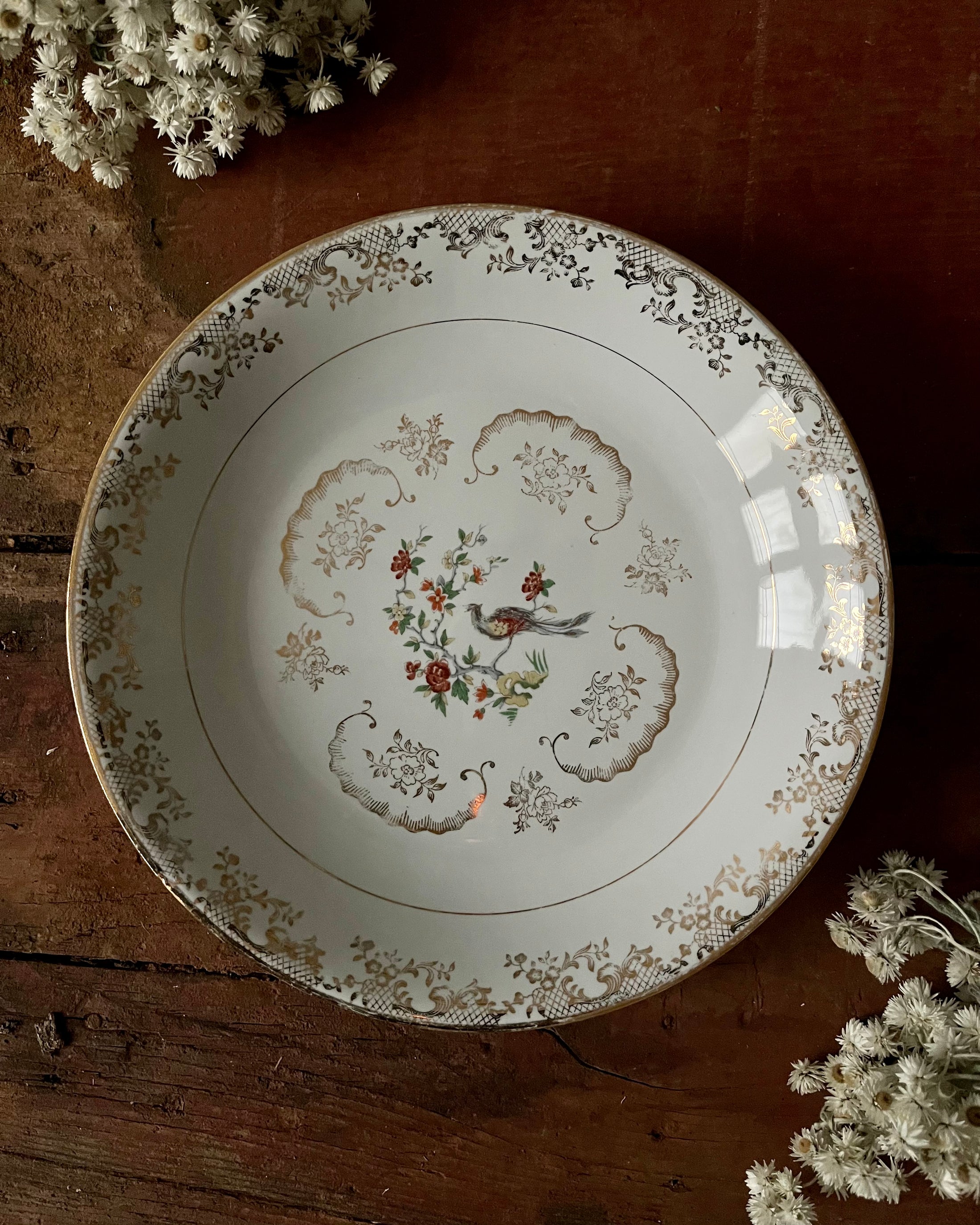 11 assiettes creuses en porcelaine