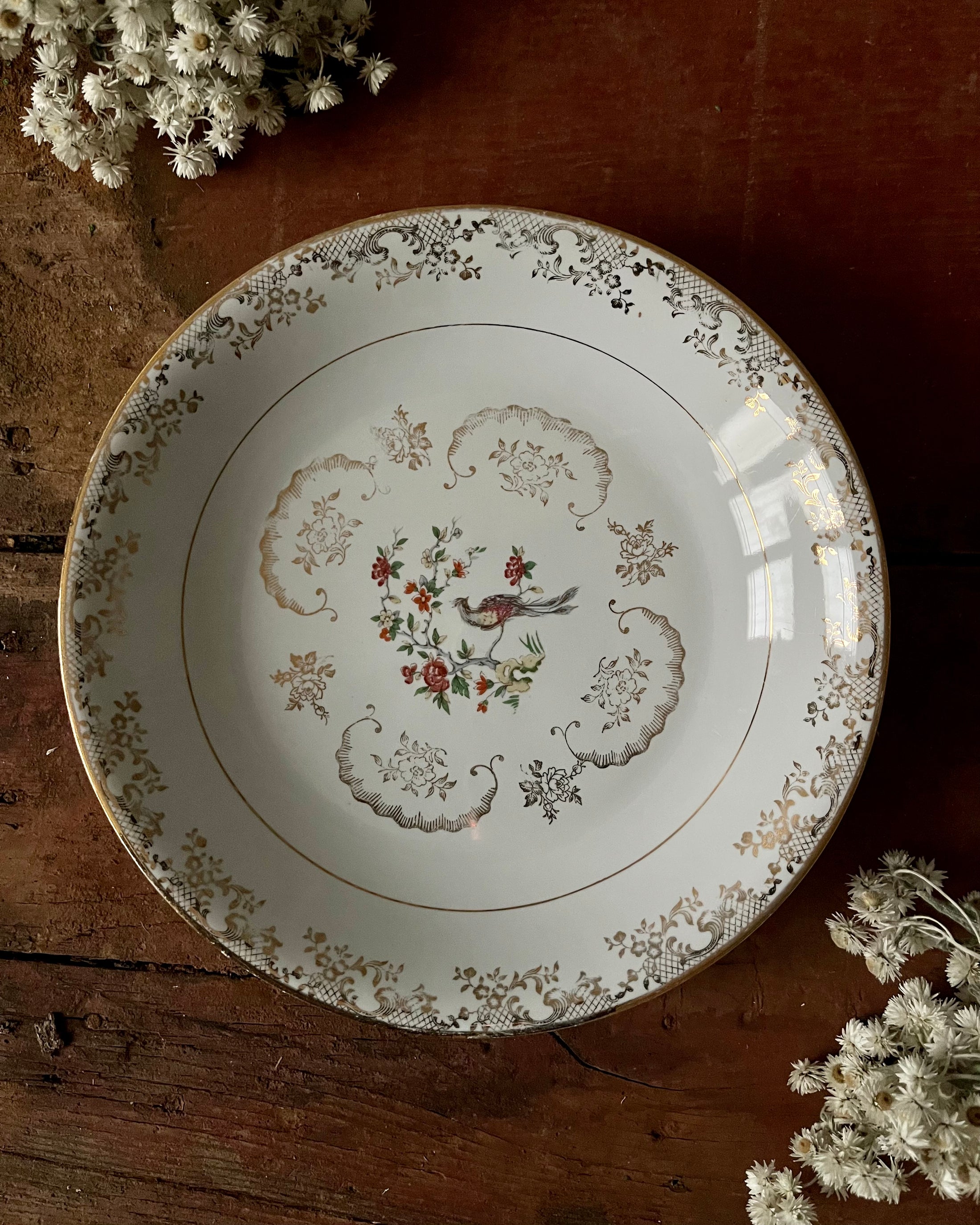 11 assiettes creuses en porcelaine