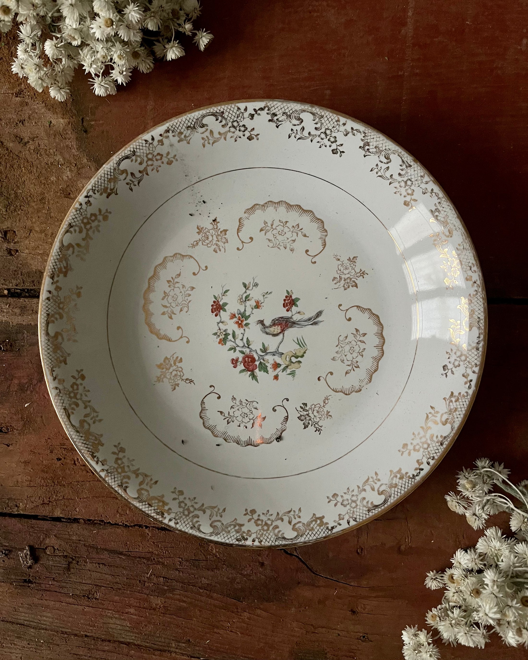 11 assiettes creuses en porcelaine