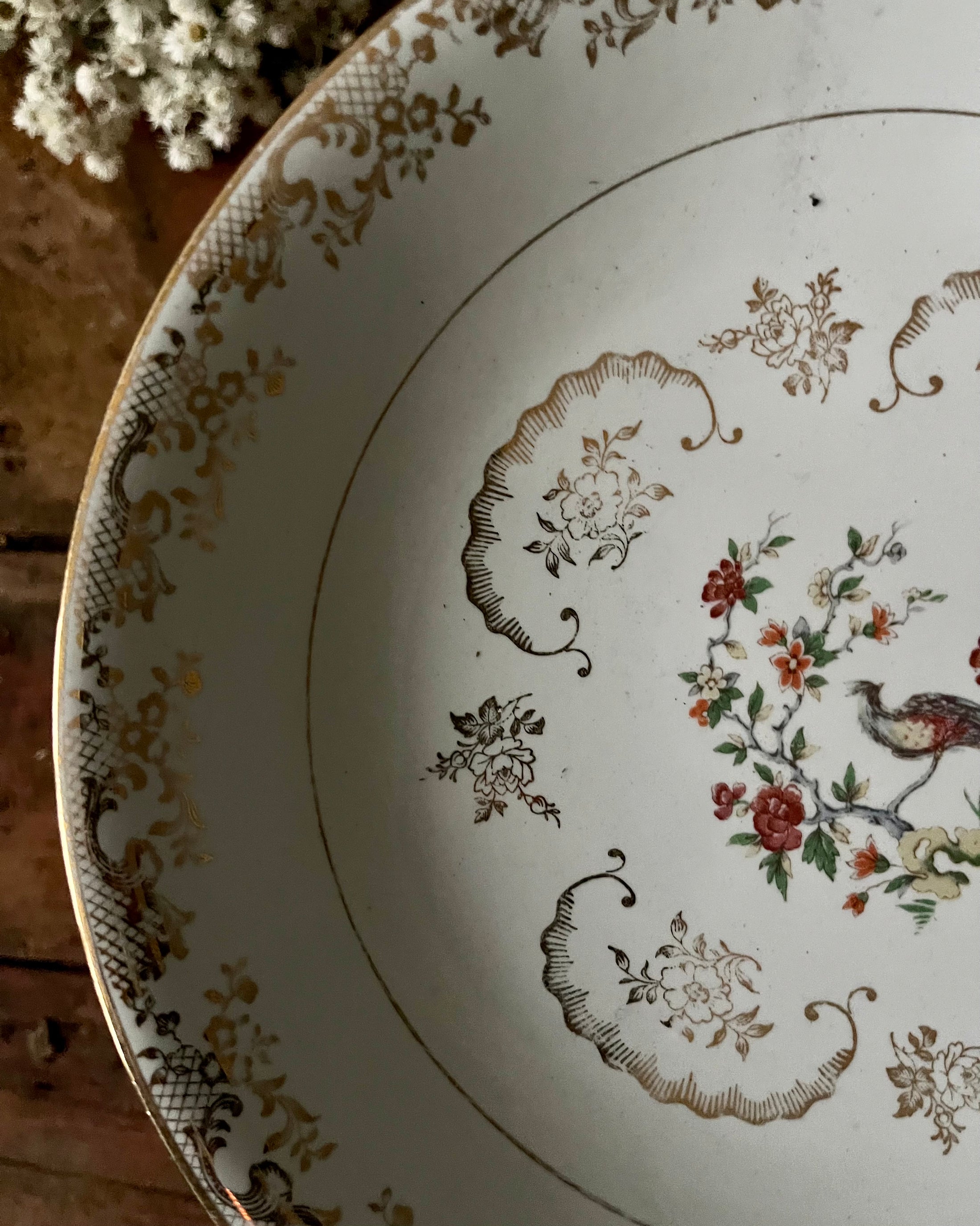 11 assiettes creuses en porcelaine