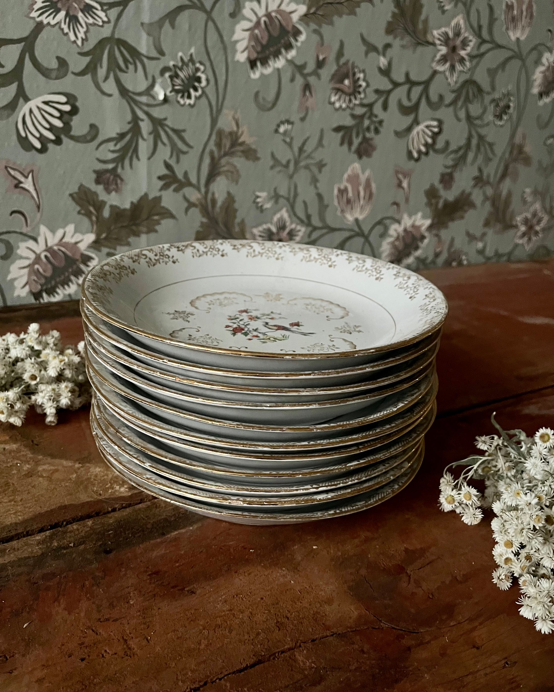 11 assiettes creuses en porcelaine